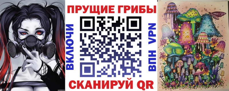 даркнет сайт Белая Холуница Галлюциногенные грибы GOLDEN TEACHER